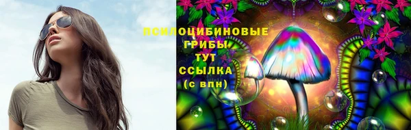 гидра Магадан