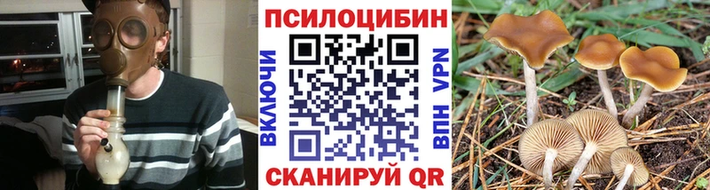 Галлюциногенные грибы MAGIC MUSHROOMS Дрезна